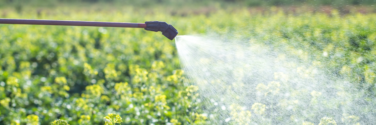 Can Reverse Osmosis Remove PFAS?